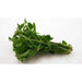 Oregano Fresh - 3 / Pack - Bulk Mart