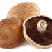 Portobello Mushrooms - 5 Lbs - Bulk Mart