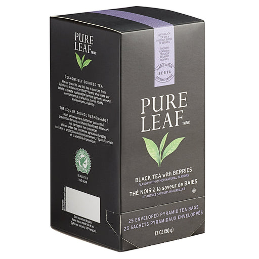 Pure Leaf - Black Tea wit Berries Tea Bags - 25 / Pack - Bulk Mart