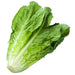 Romaine Lettuce Size 24- 3 / Pack - Bulk Mart