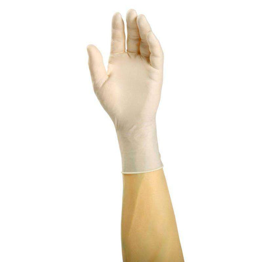 Safety Zone - Latex Gloves Large powder Free - 100 / Pack - Bulk Mart