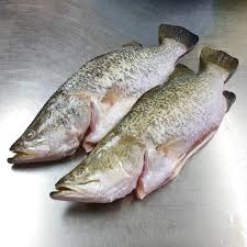 Seacore - Whole Cleaned Barramundi (sea bass) - 1 Kg - Bulk Mart