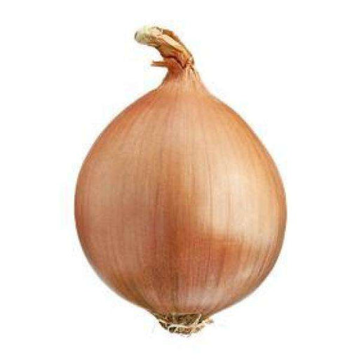 Spanish Onion Super Collasal White Label - 50 Lbs - Bulk Mart