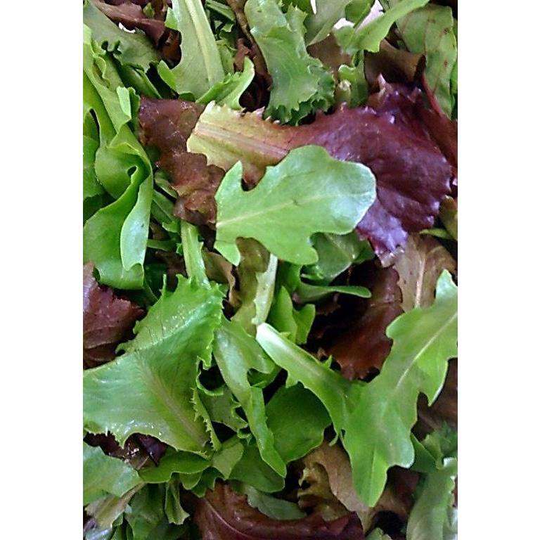Spring Mix Fresh - 3 Lbs - Bulk Mart