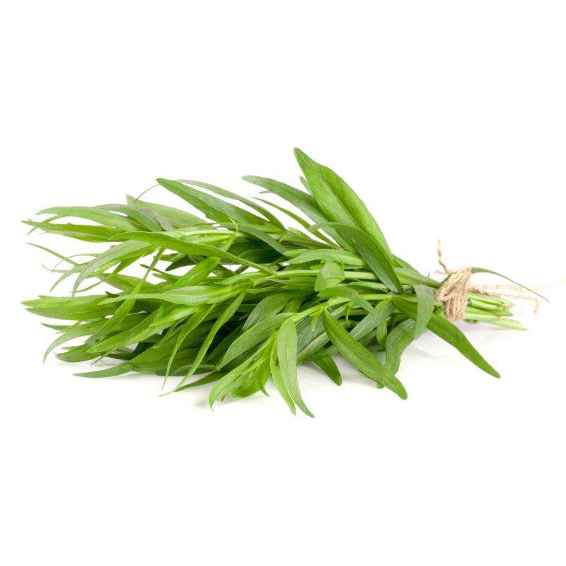 Tarragon Fresh - 3 / Pack - Bulk Mart