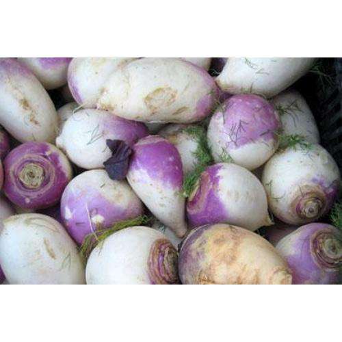 Turnip - 25 Lbs / Bag - Bulk Mart