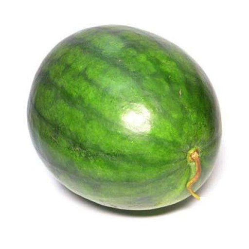 Watermelon Large - Each - Bulk Mart