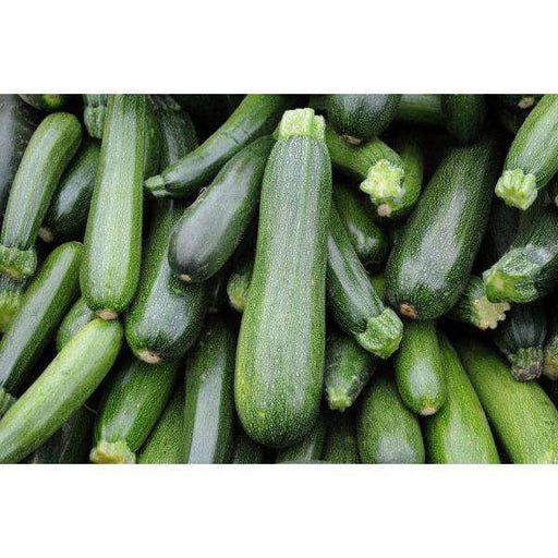 Zucchini Green Fancy - 25 Lbs - Bulk Mart